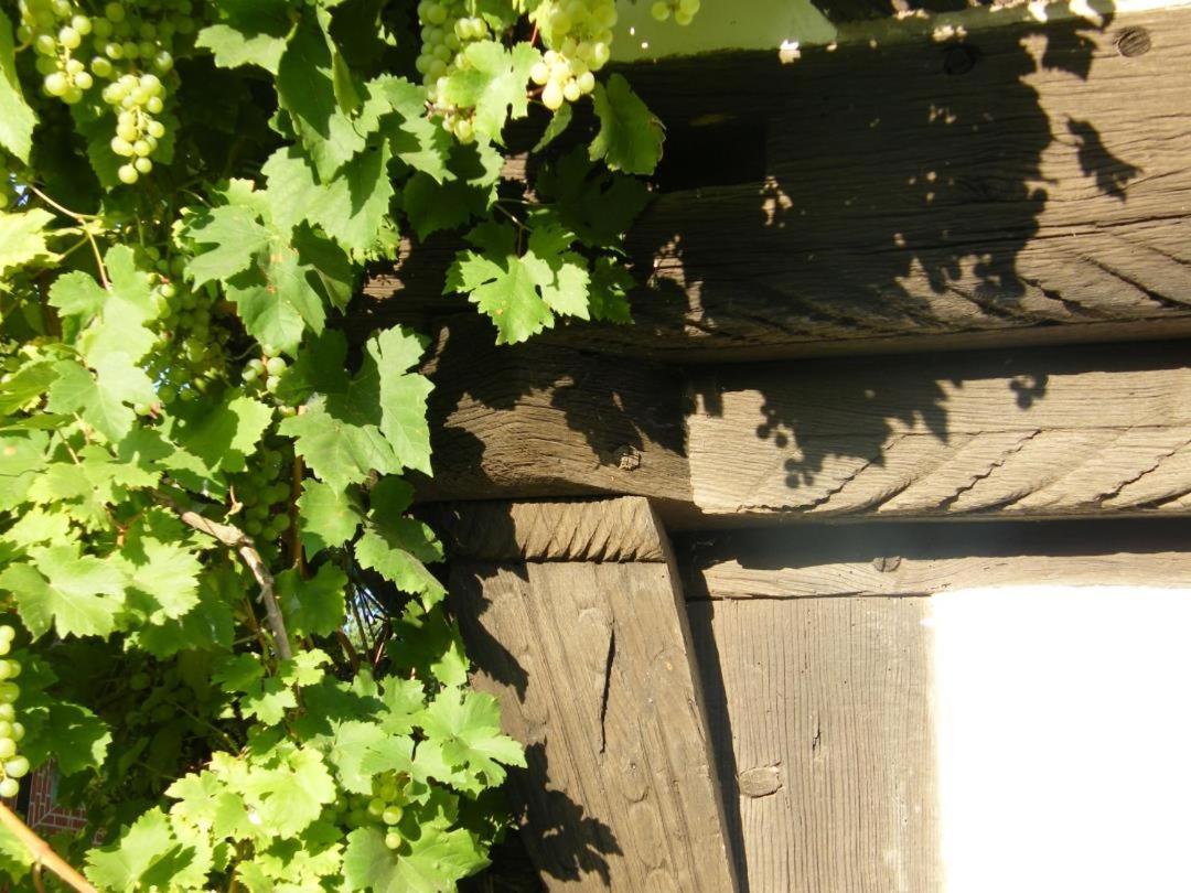 Neu! Bauern-Speicher Anno 1606 Wienhausen Exterior foto